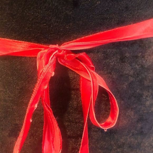 Apron winter Christmas holly leaves red ribbon attached hand towel - Picture 5 of 9